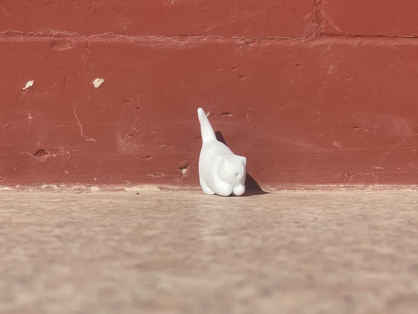 陶宠 猫